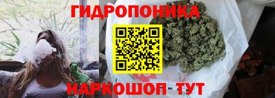шишки Краснознаменск