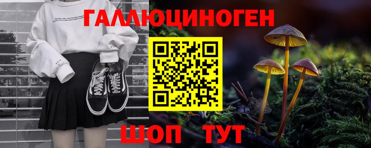 Псилоцибиновые грибы Psilocybe Кириши
